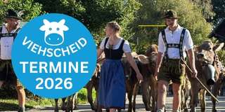 Allgäu Viehscheid Allgäu Viehscheid